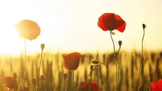 AMAZING GRACE (arr by John Frederick Hudson)