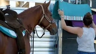 BABYFLO ENTERS A RACE!! + EPIC MEET AND GREET AND MOJO WINS $6,000.00!!!
