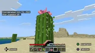 Minecraft jugando un rato  🧁 Gameplay #minecraft  #NoMic #ChillGaming #safespace