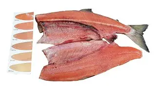 Кета ПБГ, Chum Salmon H/G Oncorhynchus keta 狗鲑鱼, 狗鮭魚, 犬のサケ (Морепродукты, рыбопродукция)