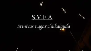 SVFA 2017