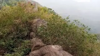 yercaud temple