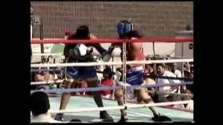 Sonya Lamonakis / Lisandra Velasquez : South Bronx Gloves 2003