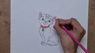 Cat Drawing -With Body Parts Name & Using Pencils Colour's -Freehand Outline & Coloring -Easy & Fast
