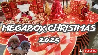 Megabox Christmas Huge Teddy bear Event.With Santa Clause and cute puppies.