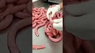 beef sausage processing by butchersnad