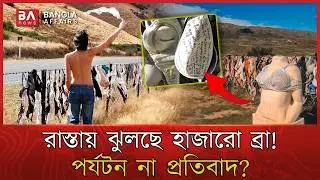 কীভাবে চারটি `ব্রা' হয়ে উঠল বিশ্ববিখ্যাত পর্যটন আকর্ষণ | Bra Fence | NewZealand | Bangla Affairs