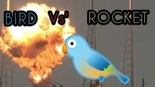BIRD VS ROCKET, LATEST ISS UAP SIGHTINGS, LIGHTNING, EXPLORING SEVERAL ANOMALIES