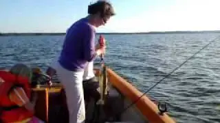 en liten g&ouml;s fr&aring;n ringsj&ouml;n
