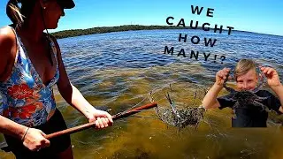 LAKE CLIFTON WA- We Find a Gem of a Hipcamp l Crabbing