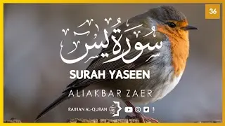 Unlocking the Secrets of Surah Yasin