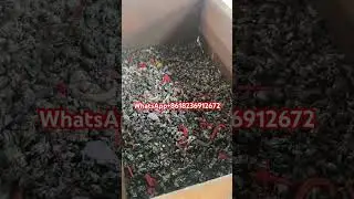 Metal crusher customer use site#Metalcrusher #ScrapIronCrusher #ScrapAluminumCrusher