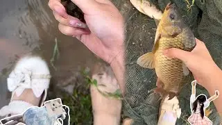 【野生小希】和小布一起寻找新的家园中！来看看今天吃啥 #jk #美食 #nature #food