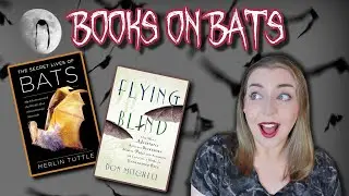 2 Books on Bats 🦇 | Book Reviews
