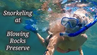 Snorkeling - Blowing Rocks Preserve, Jupiter, FL