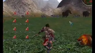 kingmt2