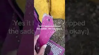 Don&rsquo;t buy a cheap saddle! #australia #horse #equestrianjourney #horsebreed #equestrian