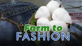 Farm to Fashion