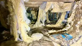 What&rsquo;s hiding under your home&rsquo;s insulation? #atticinsulation #universalinsulationdoctor