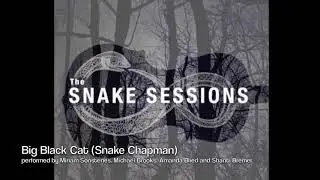 Big Black Cat (Snake Chapman)
