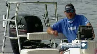 Mercury 150HP FourStroke - Florida Sport Fishing TV -  Compact & Fuel Efficient