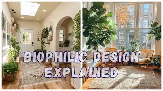 Bring Nature Home: The Biophilic Design You Didn&rsquo;t Know You Needed!