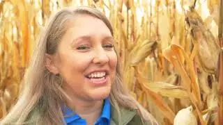 Cory Atley talks tar spot with BASF
