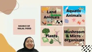 Introduction to Halal Quality Assurance (Assignment 2 - MS 1500 - Halal Food)