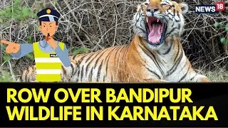 Public Opposition Grows Against Lifting Night Traffic Ban on NH 766 Through Bandipur | Wildlife