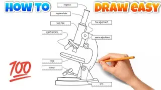 Compound microscope drawing &middot; how to draw compound microscope diagram easy