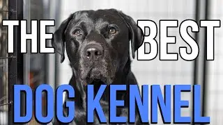 Affordable, mobile, and simple dog kennel