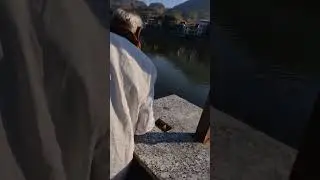 Tambak Maharaj Ka Abhisek 🥳 Tambkeshwar 4k Video 🚩Mahakal 4k Status ❤️ Mahadev 4k Video 🚩 4k Video