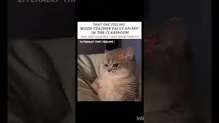 That class idiot...🙂💢 #edits #gata only #cat #relatable
