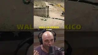Joe Rogan EXPOSES the US Border Issues