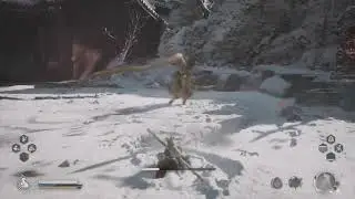 Black Myth WuKong - Monk From The Sea No Damage