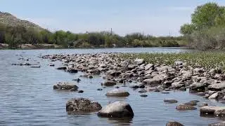 The Story of My Dangerous Safe Place: The Salt River