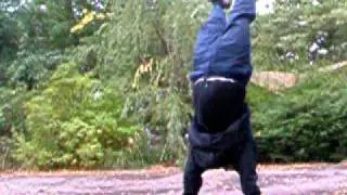 learningtobalance 8323 4 28 2010 10 5 4