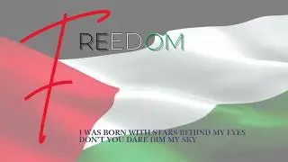 Room Number 9 - FREEDOM (Official Music Video)