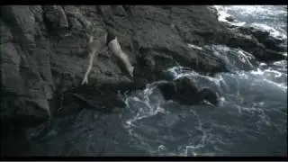 Stunt Coordinator descender rigger diver phantom footage