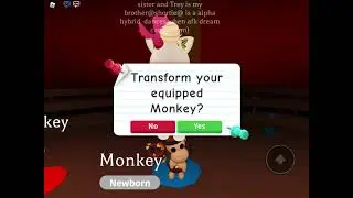 Opening Monkey Boxes with my Friend and collecting accessories