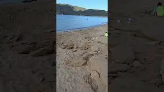 Plaja 