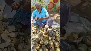 Ice apple | ice apple cutting skills imagine eating ice apple eating with your  friends & family