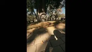 focus queen #automobile #smalljump #colonelkkjϟ #bike #mtb #focusbikes #speed