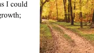 How to make a decision with insufficient information? The Road Not Taken by Robert Frost meaning