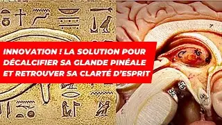 Innovation ! La solution pour d&eacute;calcifier sa glande pin&eacute;ale et retrouver sa clart&eacute; d&rsquo;esprit.
