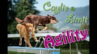 Caylie & Limit Agility