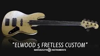 Public Peace Presents: Elwood 5 Fretless Custom