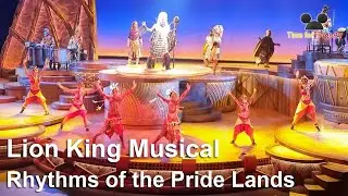Disneyland-Show: König der Löwen-Musical | Lion King - Rhythms of the Pride Lands