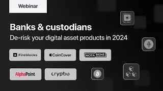 Banks & custodians: De-risking your digital asset products in 2024