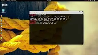 How to Setup SSH Server on Kali Linux [Tutorial]
